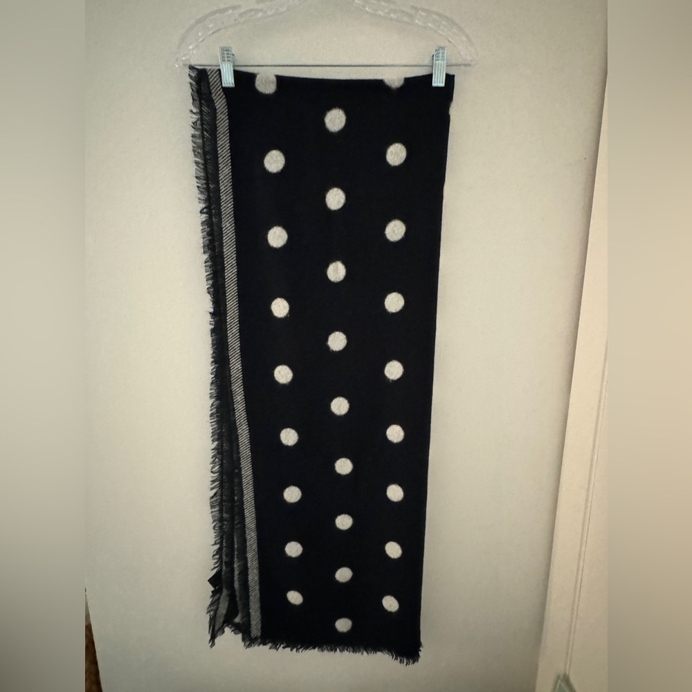 Ann Taylor Scarf